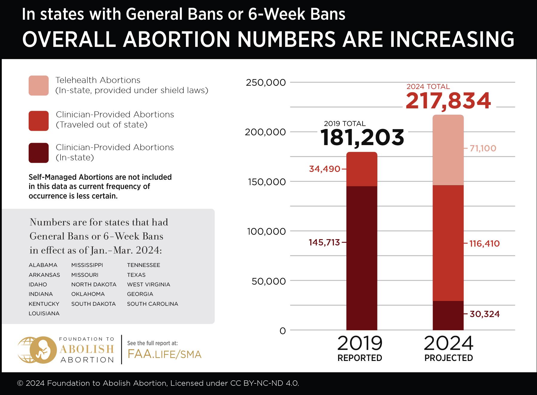 Figures drawn from the FAA's 'Babies Unprotected' report of October 2024